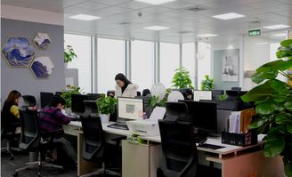 重慶軟件開發(fā),重慶軟件公司,重慶網(wǎng)站建設 途錦科技